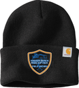 Carhartt Watch Cap 2.0